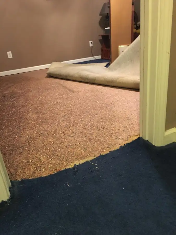 Carpet pad removal revealing water damage during Water Mitigation Services in Wedgefield