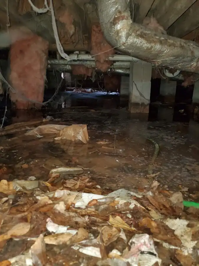 Crawl space flood assessment for Leak Detection & Repair in Wedgefield