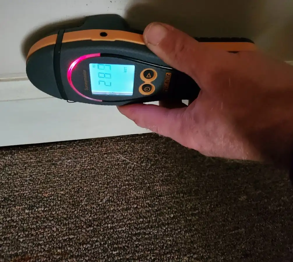 Moisture detection at baseboard during Mold Inspection & Testing in Wedgefield